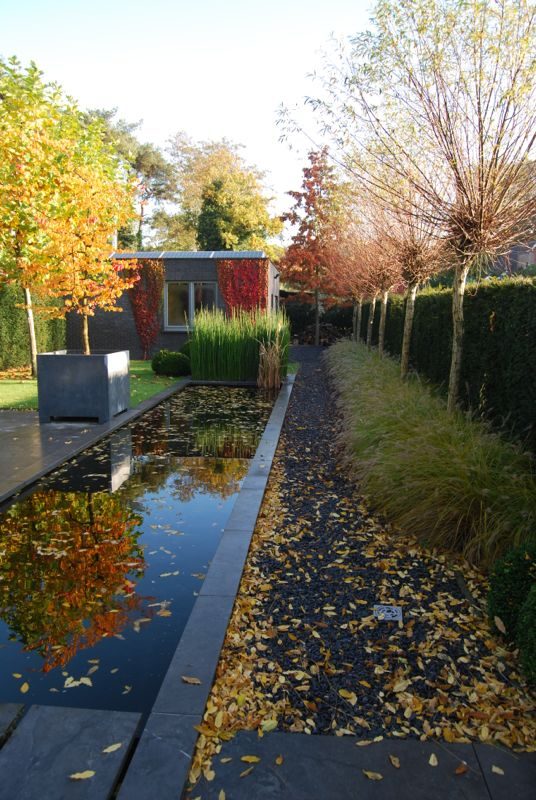 Waterpartij met herfstkleuren