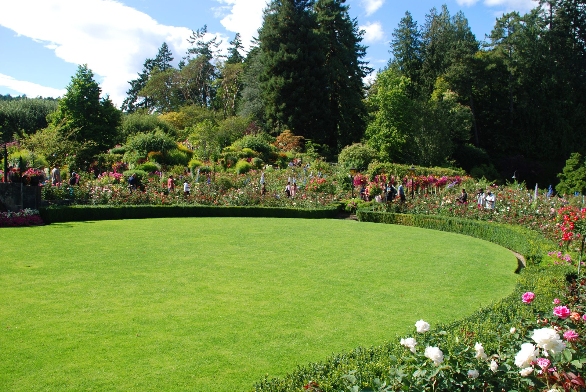 Ontworpen tuin met gazon en borders